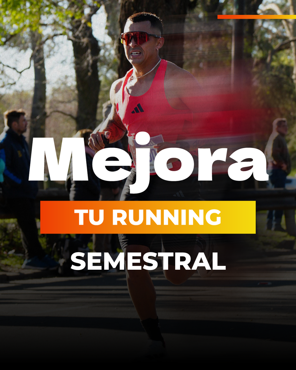 Asesoria semestral