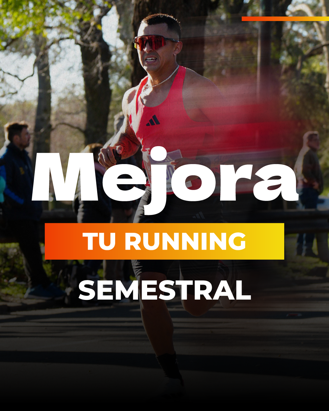 Asesoria semestral