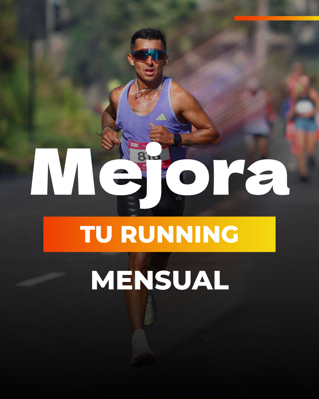 Asesoria mensual