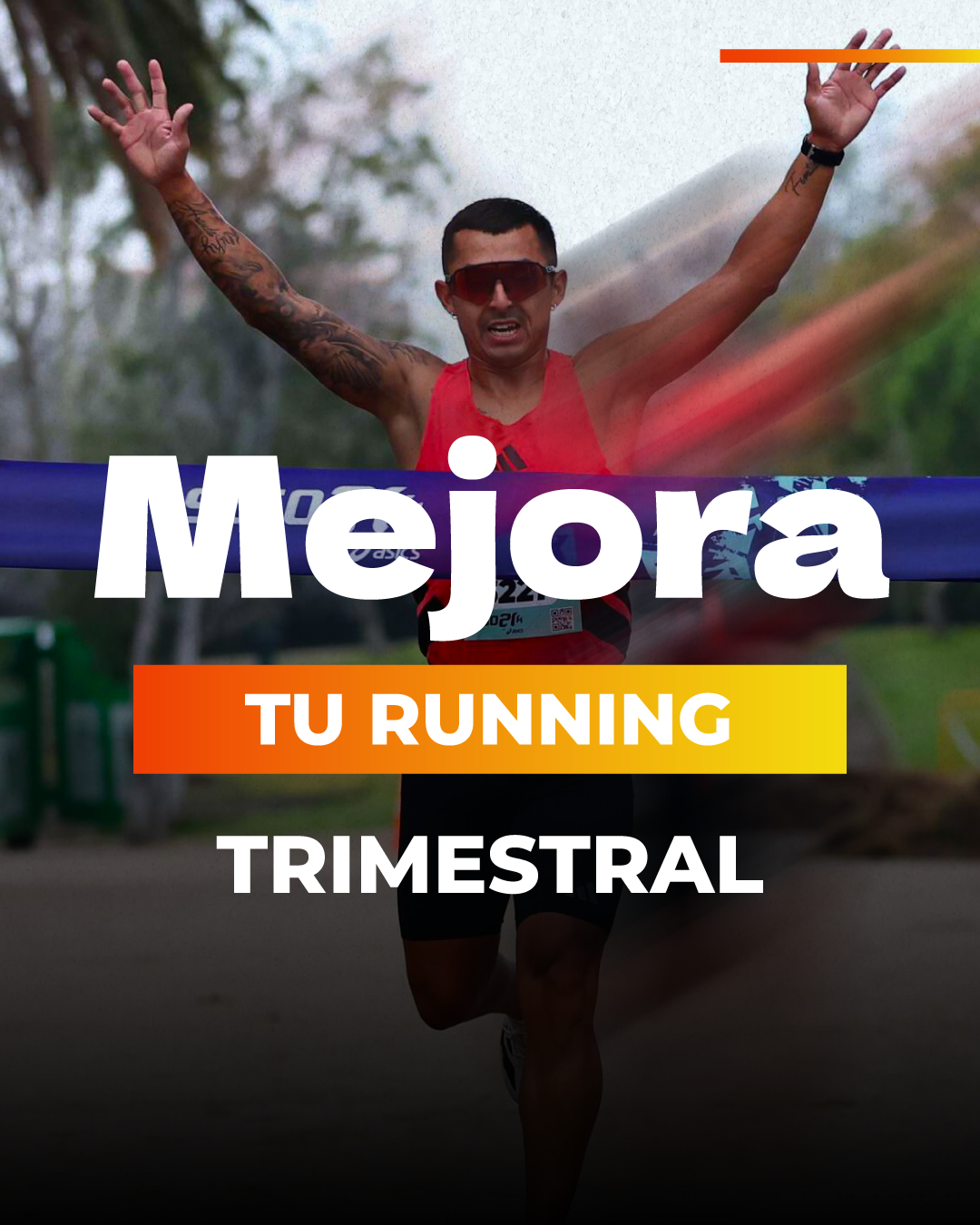 Asesoria trimestral